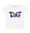 Dolce & Gabbana T-shirt - Maiolica