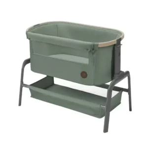 Iora Babyseng - Beyond Green