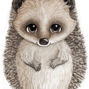 Stickstay Harry The Hedgehog Wallsticker