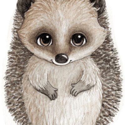 Stickstay Harry The Hedgehog Wallsticker