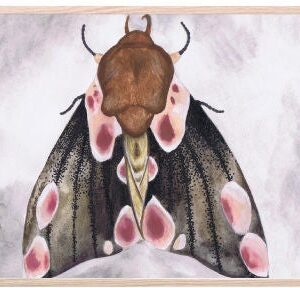 That's Mine Plakat A Moth's Beauty 30x40