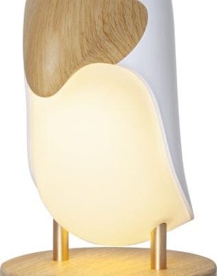 Star Trading Natlampe LED Funktionel Toucan Bird, Børnelampe