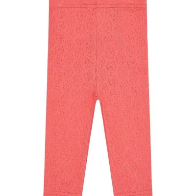 Hust and Claire Leggings - Lisa Pointelle Flower - Wild Coral