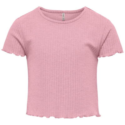 Kids Only T-shirt - Rib - KogAlly - Nostalgia Rose