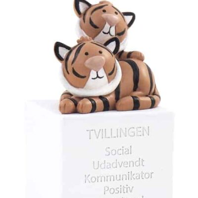 Kids by Friis Stjernetegn - Tvillingen