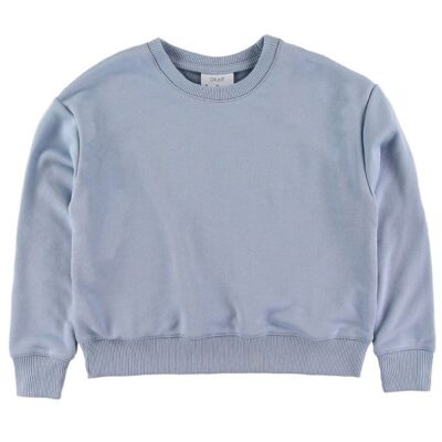 Grunt Sweatshirt - Lone - Baby Blue