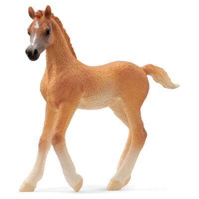 Araberføl - 13984 - Schleich Horse Club
