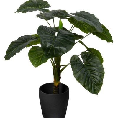 Kunstig Alocasia Odora Plante - Højde 90 cm - 1 stammet med grønne blade - Kunstig gulvplante