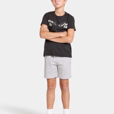 Didriksons Fejan Shorts, Aluminum melange, 160