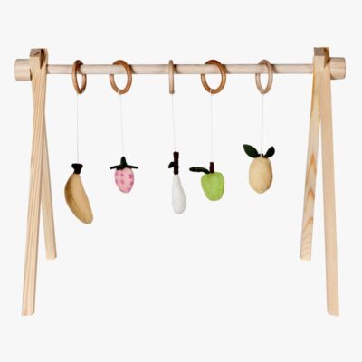 Quax Fruit Aktivitetslegetøj 5 Dele