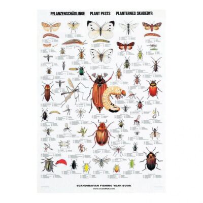 Plakat: Planternes Skadedyr - 70 x 100 cm.