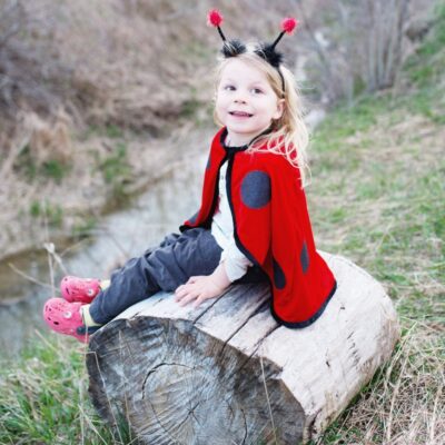 Udklædning - Mariehøne - 2-3 år.