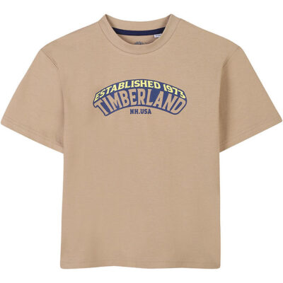 Timberland T-shirt - Dark Stone