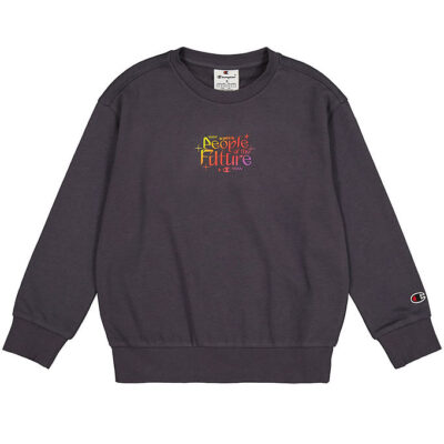 Champion Sweatshirt - Grå