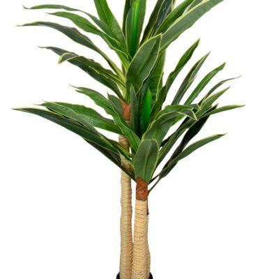 Kunstig Dracena Plante - Højde 170 cm - Lange flotte blade - Kunstig gulvplante