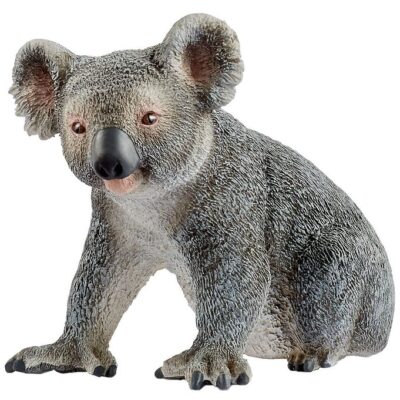 Koalabjørn - 14815 - Schleich Wild Life