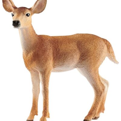 Hvidhalet hind - 14819 - Schleich Wild Life