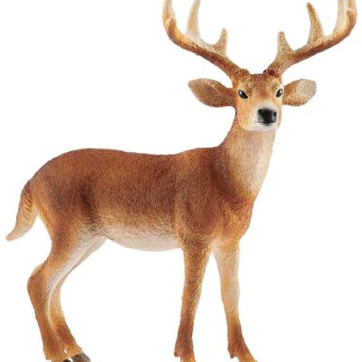 Hvidhalet buk - 14818 - Schleich Wild Life