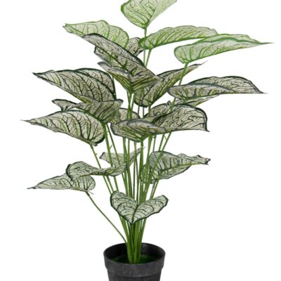 Kunstigt plante 80 cm - Flot Calathea med hvide og grønne blade