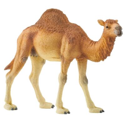 Schleich - Wild Life - Dromedary (14832)