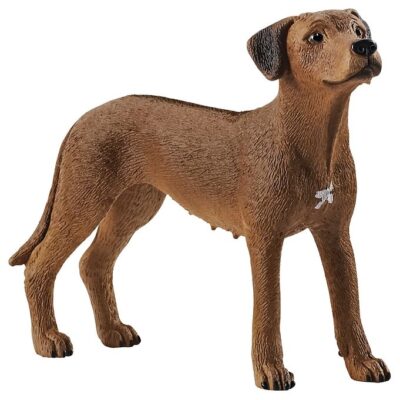 Schleich Dyr - H:6 cm - Rhodesian Ridgeback 13895