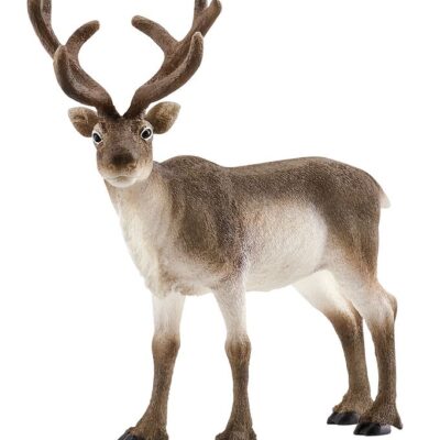 Schleich - Wild Life - Rensdyr (14837)