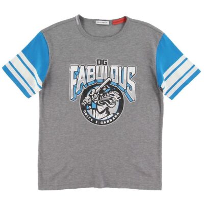 Dolce & Gabbana T-shirt - Grå m. Print