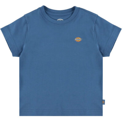 Dickies T-shirt - Mapleton - Delft