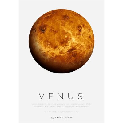 Citatplakat Plakat - A3 - Venus