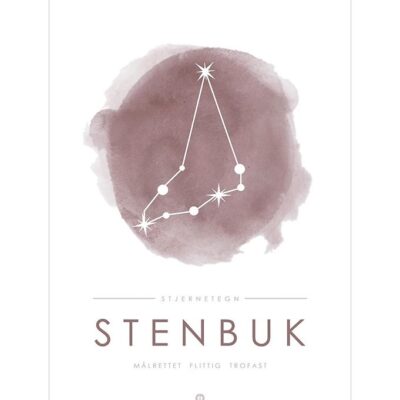 Citatplakat Plakat - A3 - Stjernebillede - Stenbuk - Lyserød