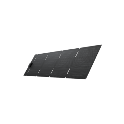 EcoFlow - 60W Portable Solar Panel