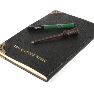 Harry Potter -Tom Riddle's Dagbog, Pen og Stav
