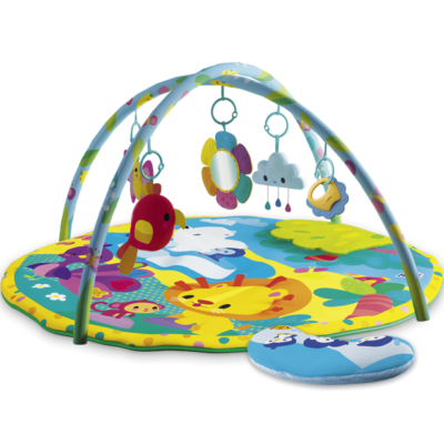Kids Hits - Activity Gym, Zoo Friends
