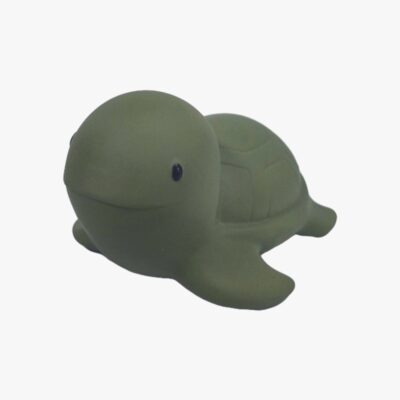 CarloBaby Badelegetøj Skildpadde, Grøn