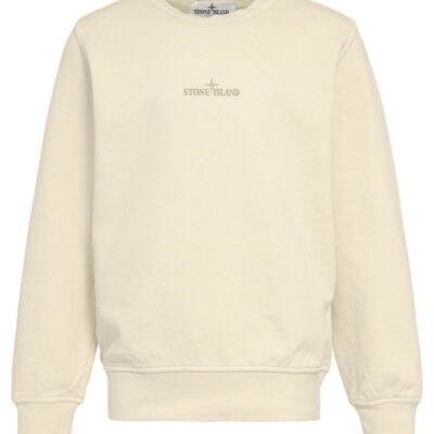 Stone Island Sweatshirt - Plaster m. Print