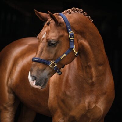Hansbo Sport - Grime EQUESTRIAN LIFE - Ponny