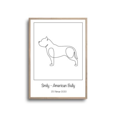 American bully - plakat