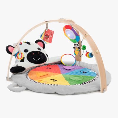 Baby Einstein Zen's Activity Milestones Aktivitetstæppe