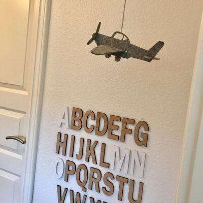 Fly i filt