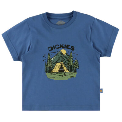 Dickies T-shirt - Camp Graphic - Delft