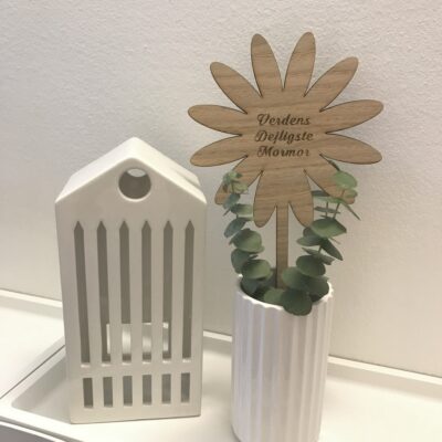 Marguerit egetræ - 27 cm