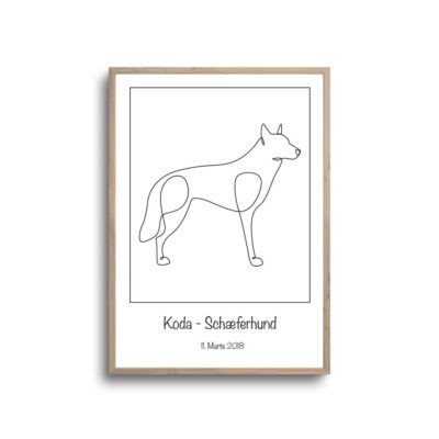 Schæfer hund - Plakat