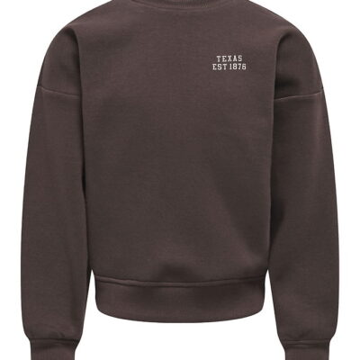 Kids Only Sweatshirt - Noos - KogSweat - Coffee Bean/Birch/Houst